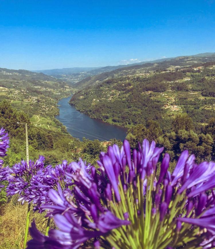 Mira Douro Valley Home มาร์โก เดอ คานาเวเซส ภายนอก รูปภาพ