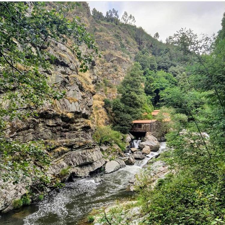 Mira Douro Valley Home มาร์โก เดอ คานาเวเซส ภายนอก รูปภาพ
